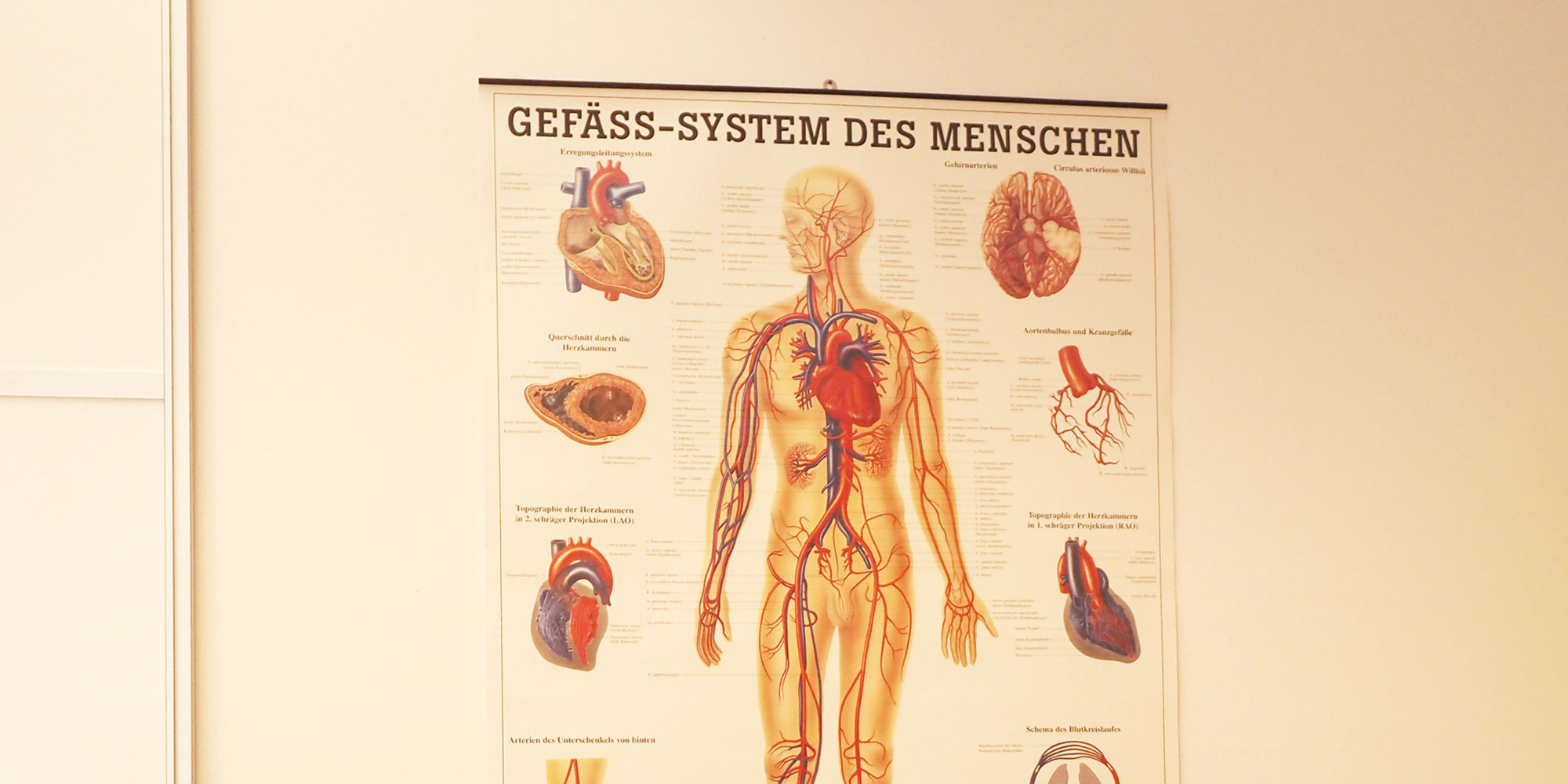 Lymphdrainage / Entstauungstherapie | Beatrice Peschel - Deggendorf